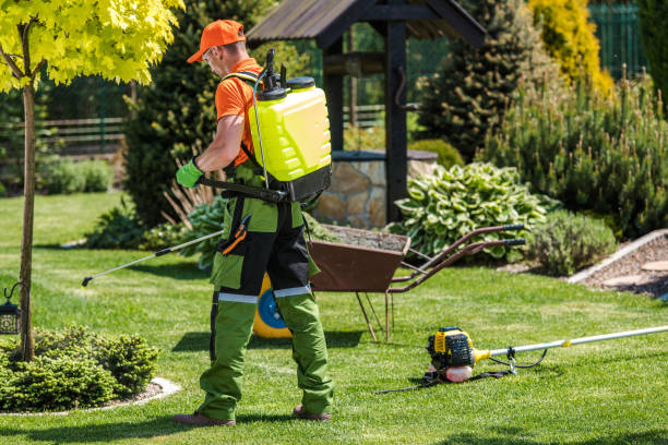 Best Outdoor Pest Control  in Stewartville, MN